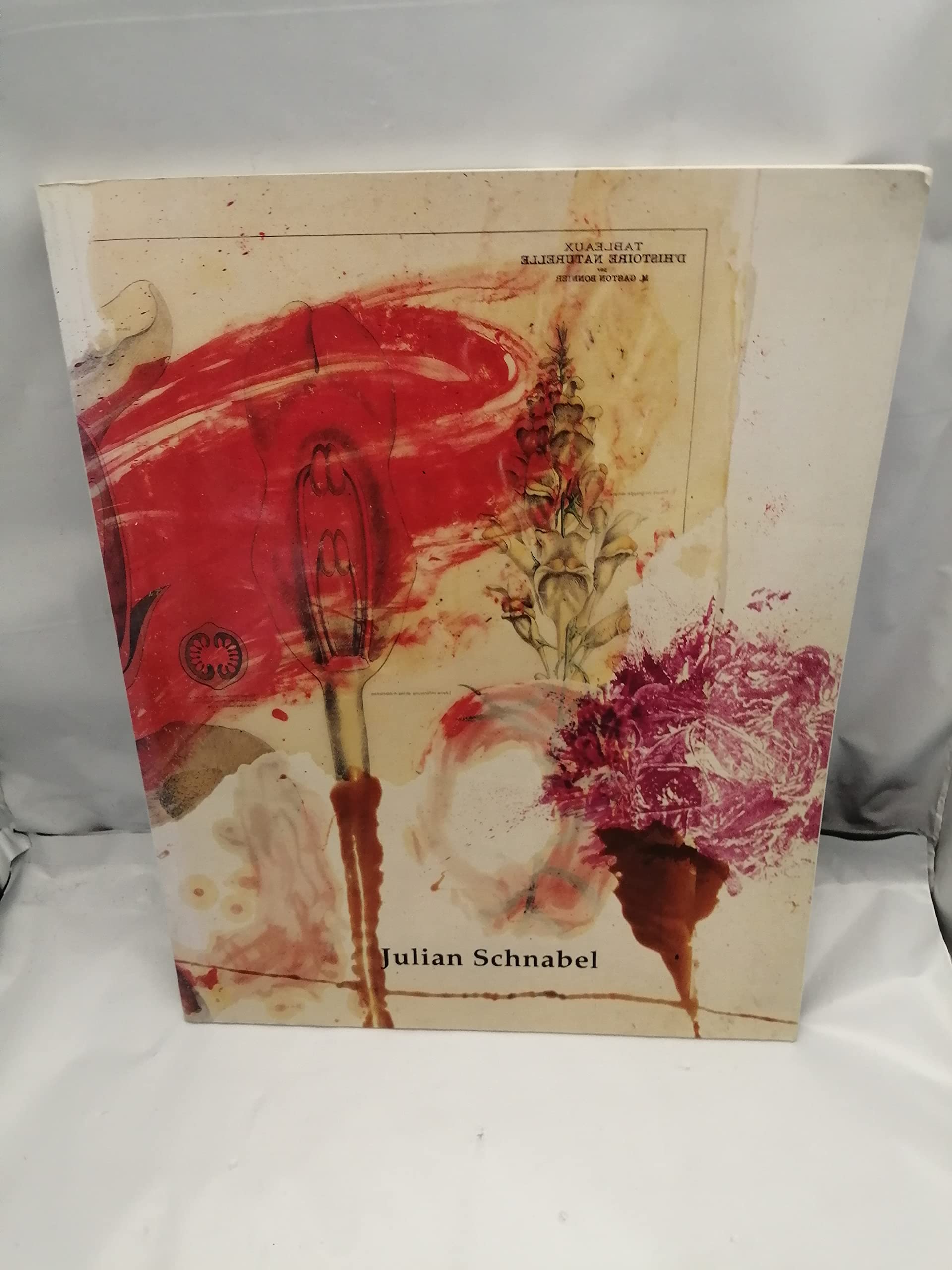 Amazon.co.jp: Julian Schnabel: 本、バイオグラフィー、最新アップデート