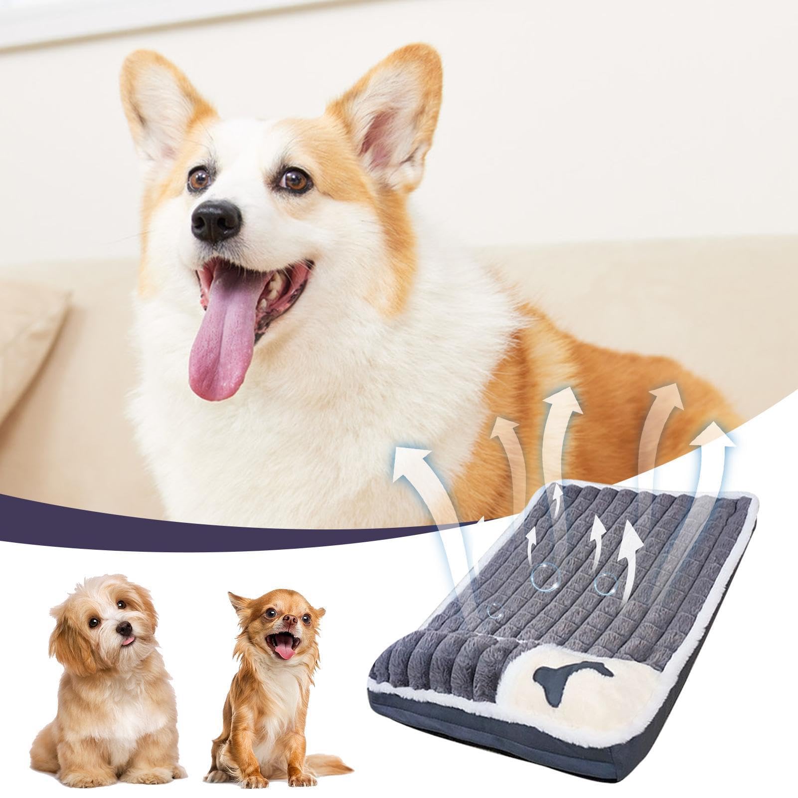 Tapis de cage pour chien – Lavable et antidérapant pour petits chiens, coussin doux pour dormir et confortablement, réduit l'inquiétude et l'anxiété