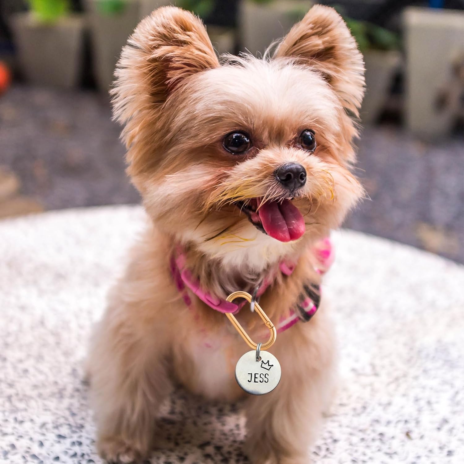 Oval Spring Ring Clips, Metal Keyring Purse Clip, Heavy Duty Opening O Ring Carabiner for Keychains,Backpacks, Keys - Image 7