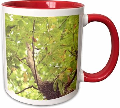 3dRose Bird Nest In Tree 11oz Two-Tone Red Mug