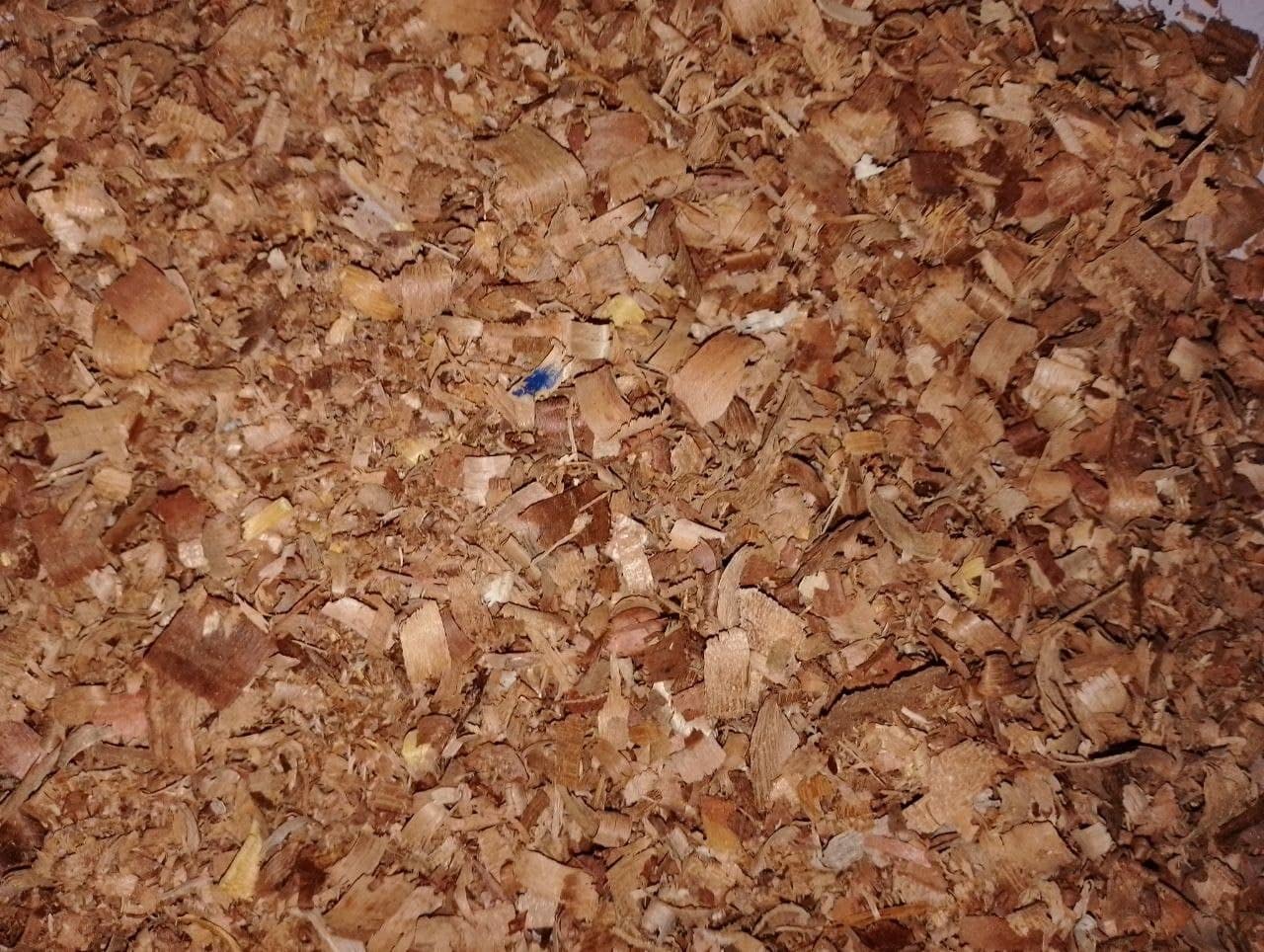 Garudan MACH ™ Wood Shaving Bedding for Poultry, Kitten, Puppy, Dog, Cat, Rabbit, Hamster, Rat, Caged Birds & Other Pets 250 Gm (Small)