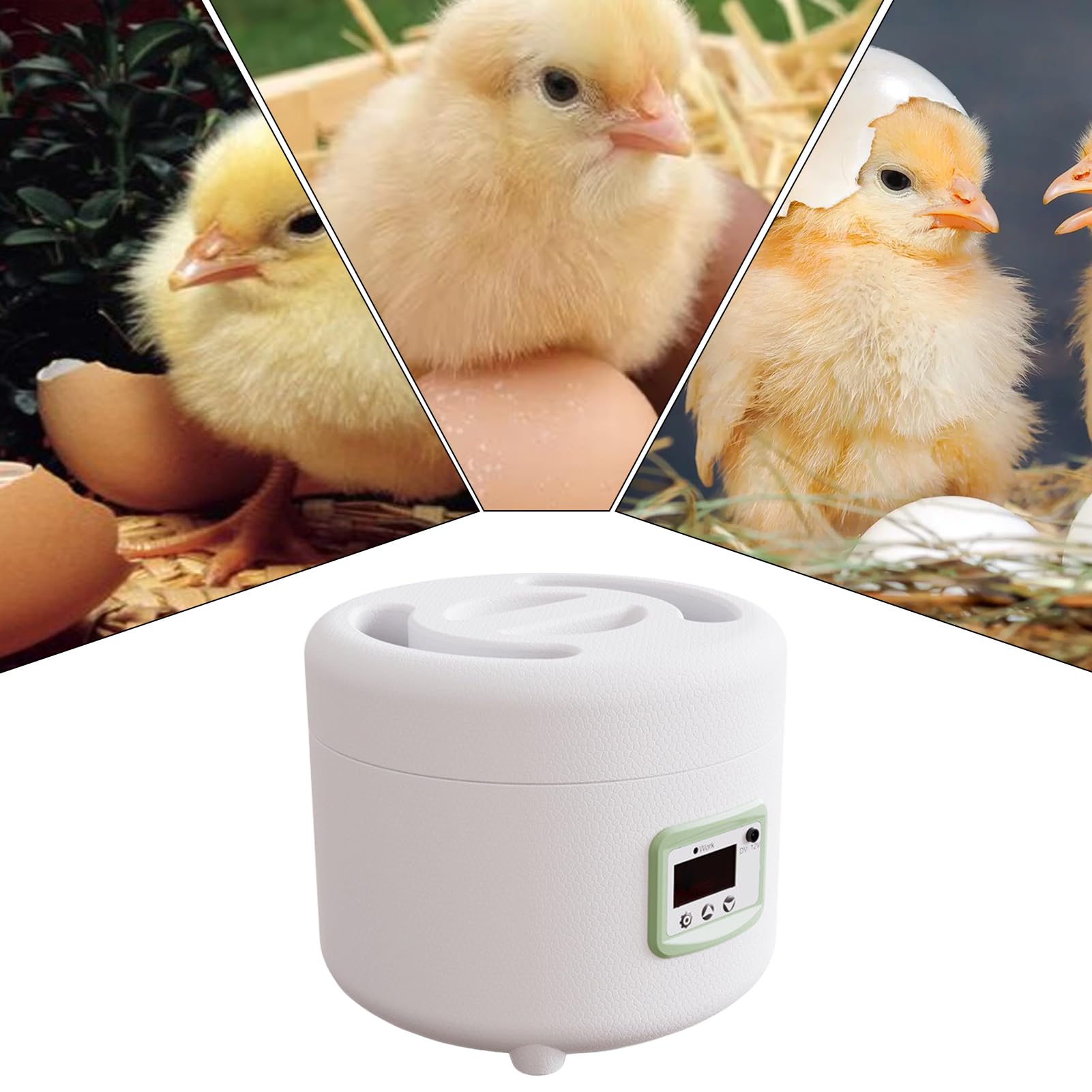 Incubatrice per incubazione di uova - Tornitore automatico ' controllo digitale della temperatura | Pollame per pollo, uova di quaglia, capacità da 9 a 10 uova, display a LED,