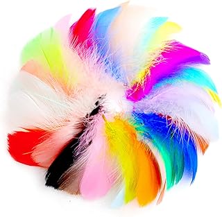 100-Piece Craft Feathers - Colorful Feathers for DIY Crafts, Gift Box Fi...