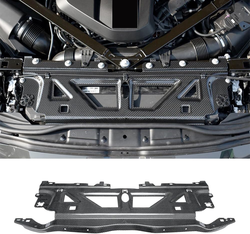 Amazon.com: Dry Carbon Fiber Radiator Cooling Slam Panel Cover for BMW ...