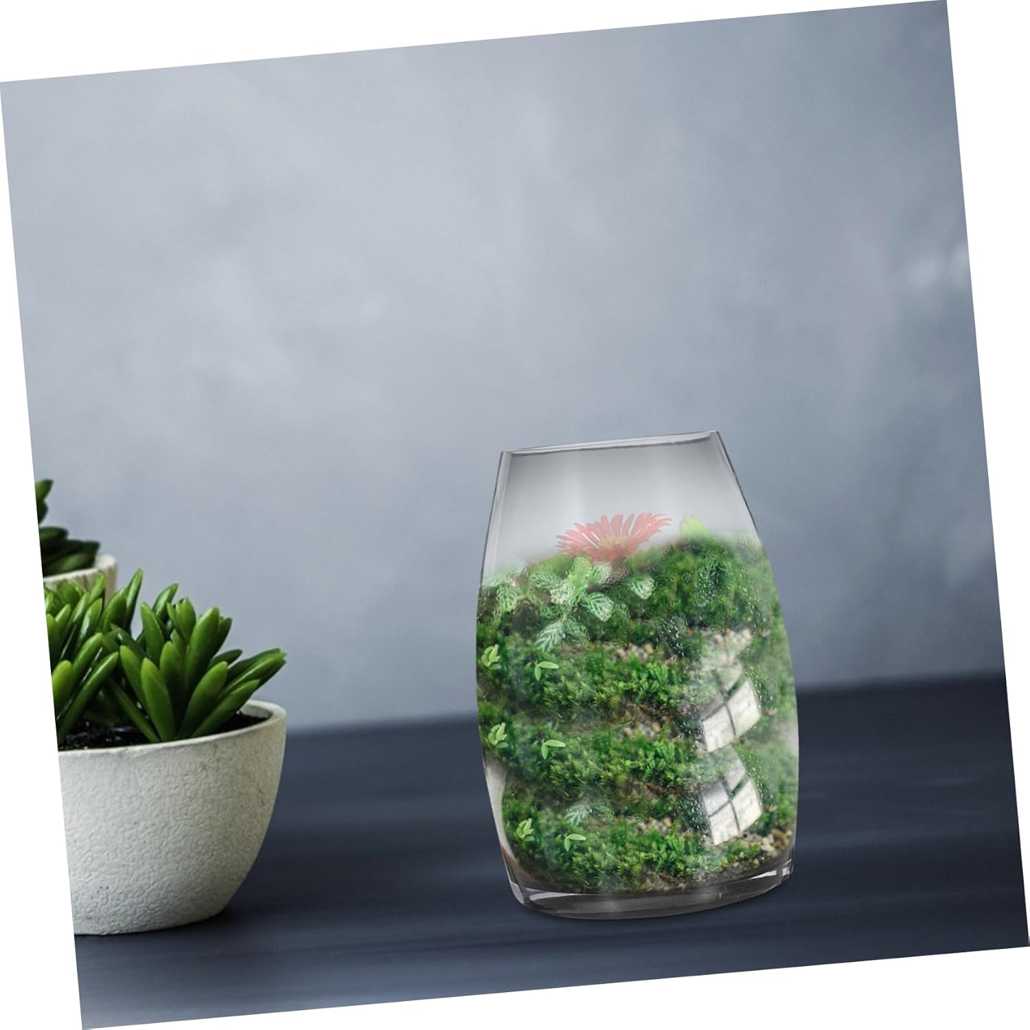 Handmade Glass Micro Landscape Planter Vase for Small Plants Terrarium Container for Desk Decoration for Moss and Succulents