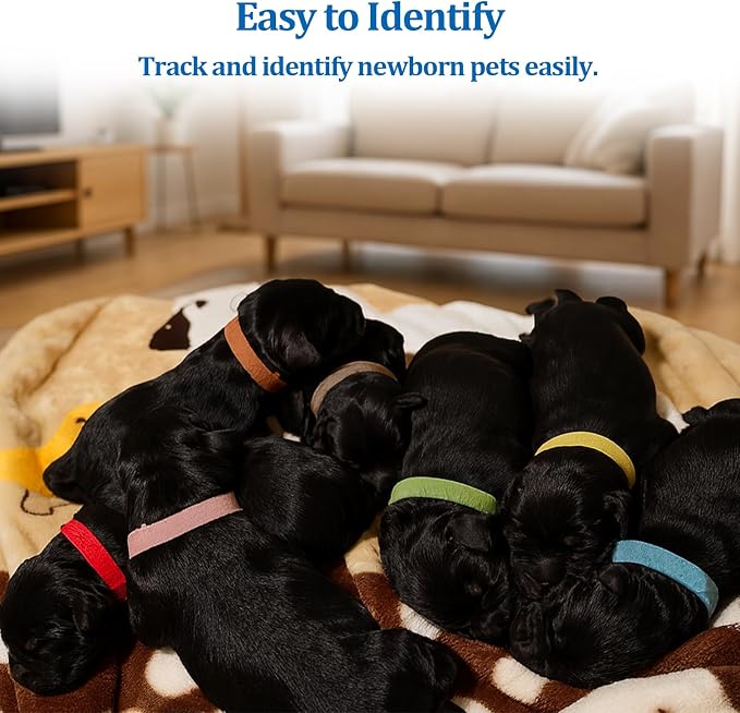 15 Collares para Cachorros Multicolor Suaves y Ajustables miniatura 3