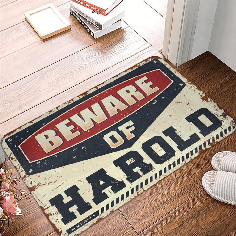 Men Cave Decor Beware of Harold Rug Door Mats for Inside Entry Winter Doormat Outdoor (Size : 65X90CM)