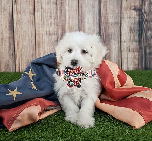 Miniatura 6 de Elegant little tail Collar de perro con la bandera de Estados Unidos, lindo collar de perro desmontable con flor, collar de perro ajustable para