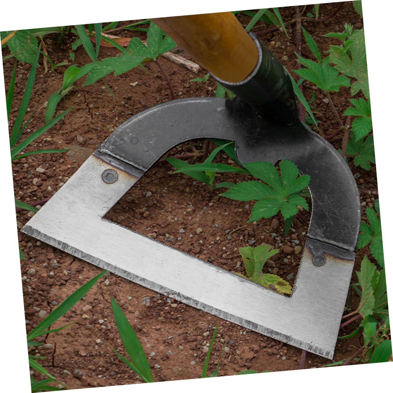 HOMSFOU Zappetta da Giardino in Acciaio Inox, Design Cavo, Robusta
