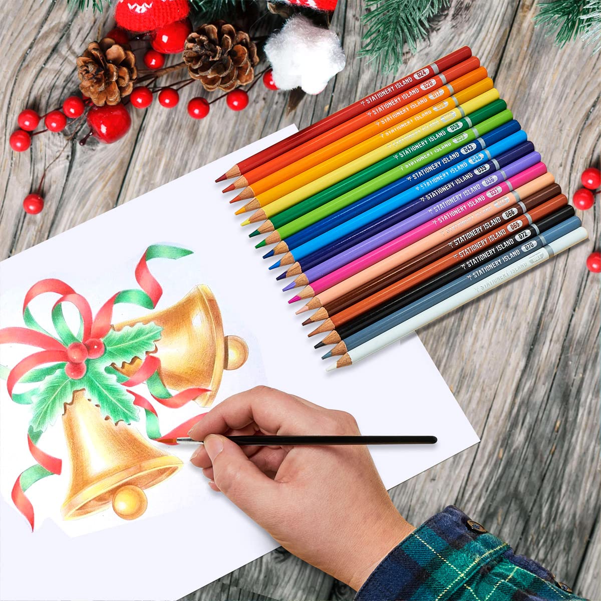 Dna Gel Electrophoresis Poster, Size 36 X 24