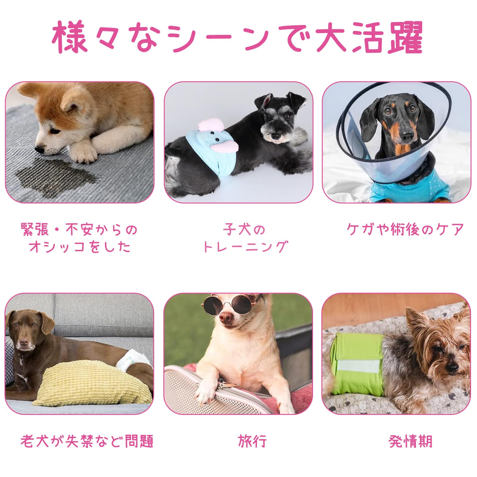 FURYLIFE マナーパッド M 50枚×12袋 600枚 Amazon.co.jp: Furrylife 犬用おむつライナー マナーパッド 50枚入り