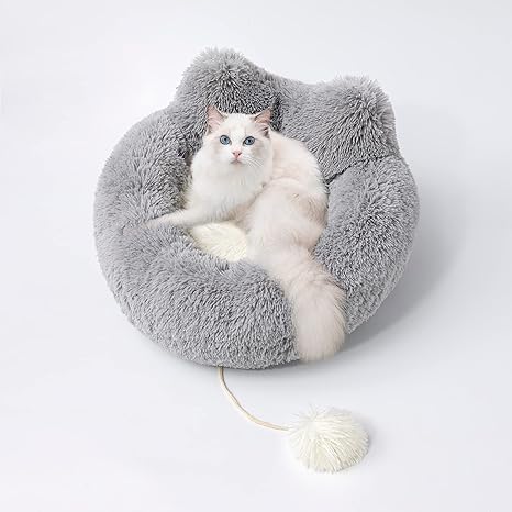 cute cat beds amazon