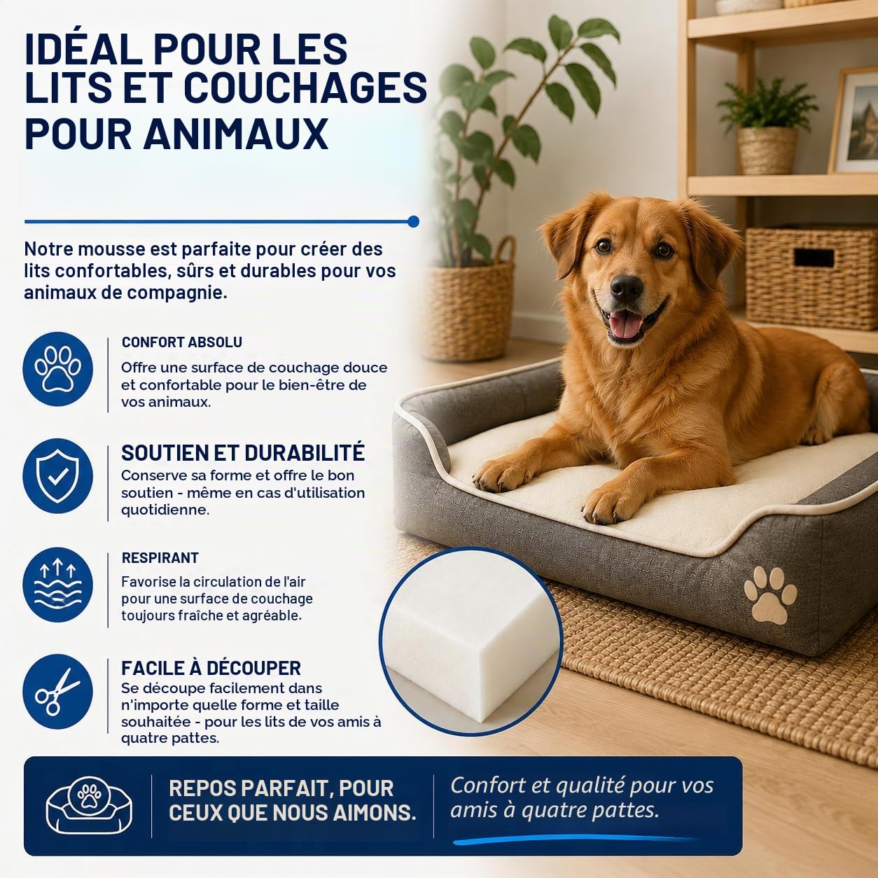 All4All Mousse de Rembourrage - Mousse Haute densité pour canapés et sièges - 50x50x12cm - D25/44