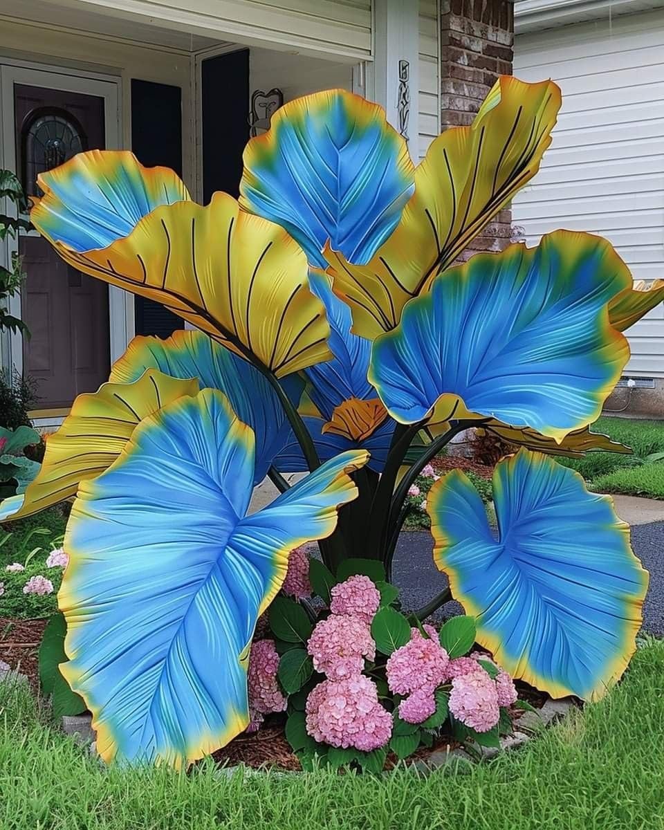 Hosta Bulbs UK,Rhizome for Planting, Excellent Display,Hosta Mix,Perennial-15bulbs-A