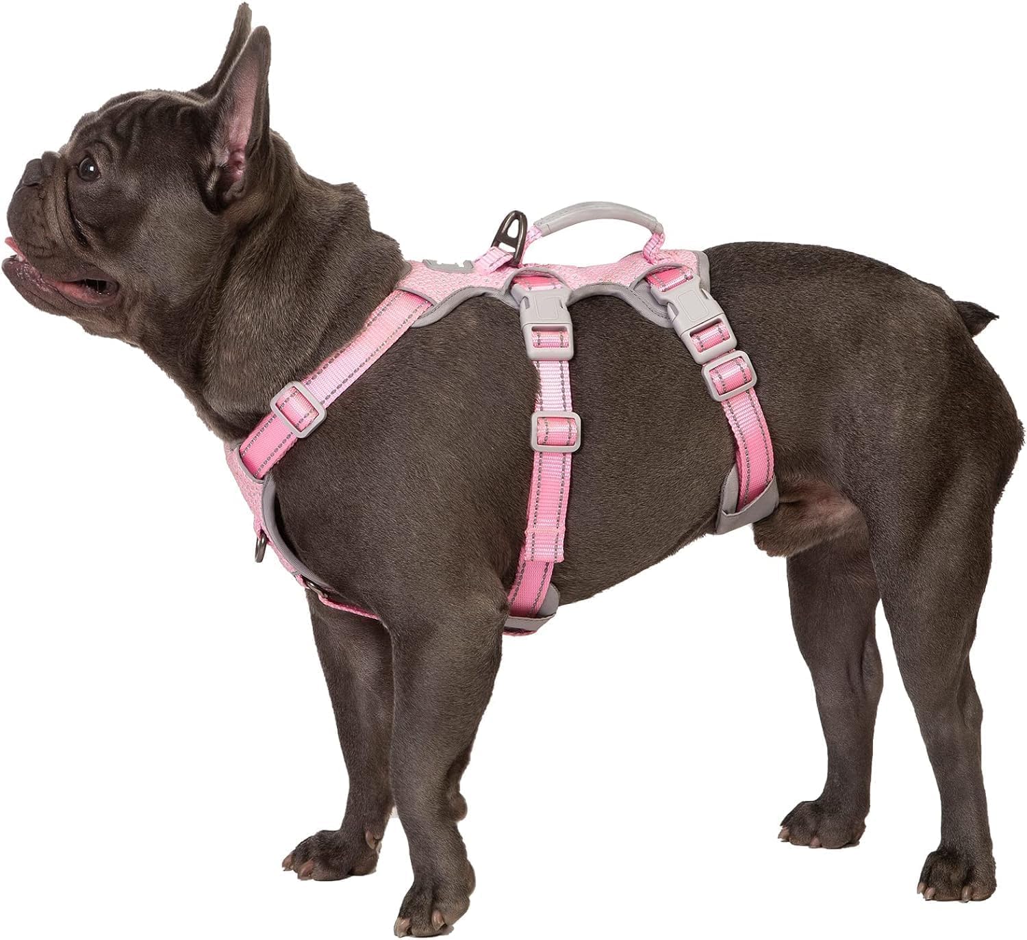 Huntboo Pettorina per cani a prova di fuga, pettorina sicura per cani senza possibilità di fuga,pettorina completamente riflettente con maniglia, traspirante, regolabile per cani di piccola taglia