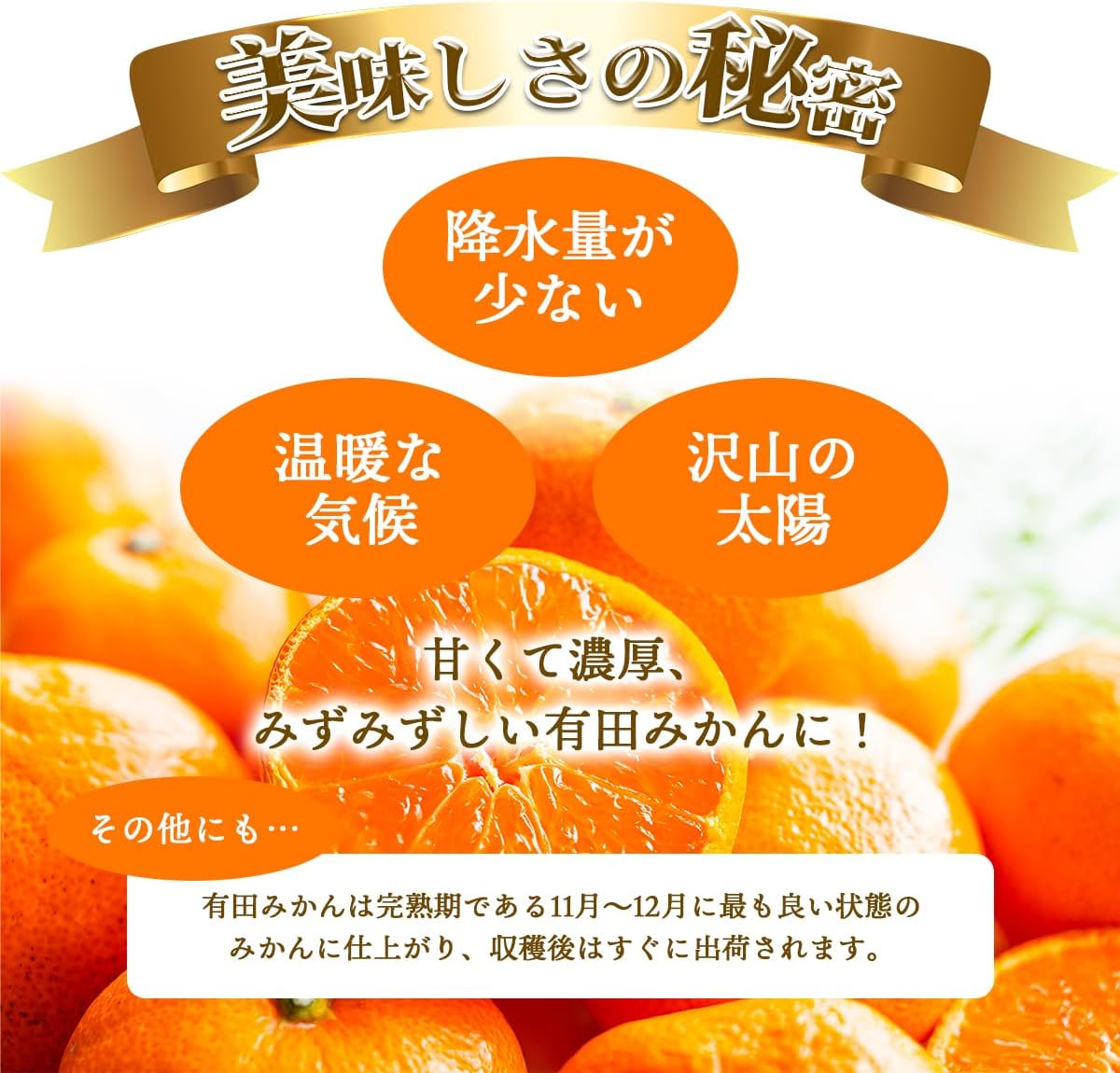美味いとこどり みかん 和歌山県産 有田みかん 青秀みかん 完熟 甘い 選別済 (小粒S～SS 3kg) ※お歳暮 のしが必要なお客様はご対応いたします。