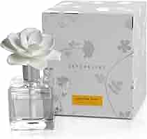 セクレ　ド　ローズ　 50ml Amazon.com: Zodax Seychelles Porcelain Scented Diffuser
