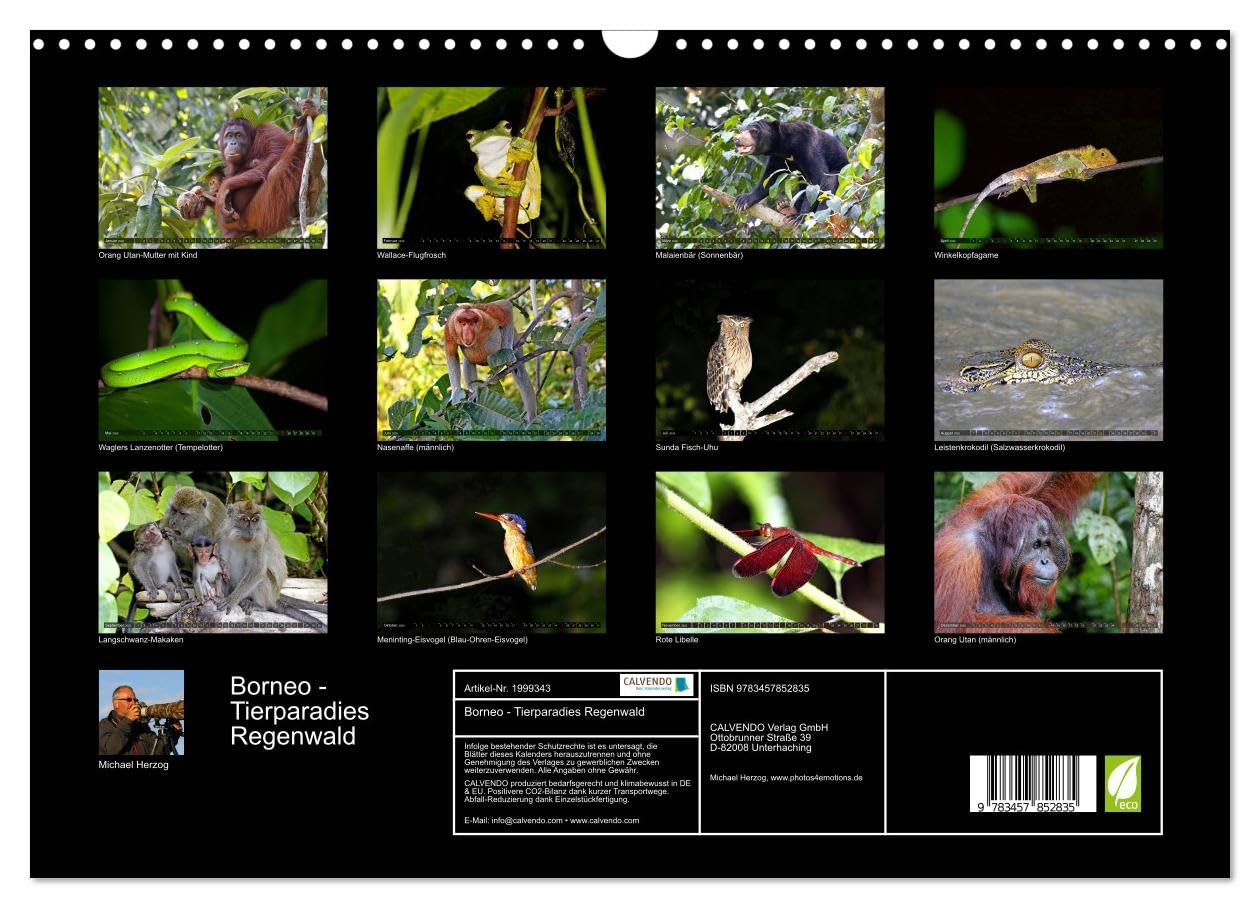 Borneo - Tierparadies Regenwald (Wandkalender 2026 DIN A3 quer), CALVENDO Monatskalender: Eine tierische Bilderreise durch Borneo (CALVENDO Tiere)