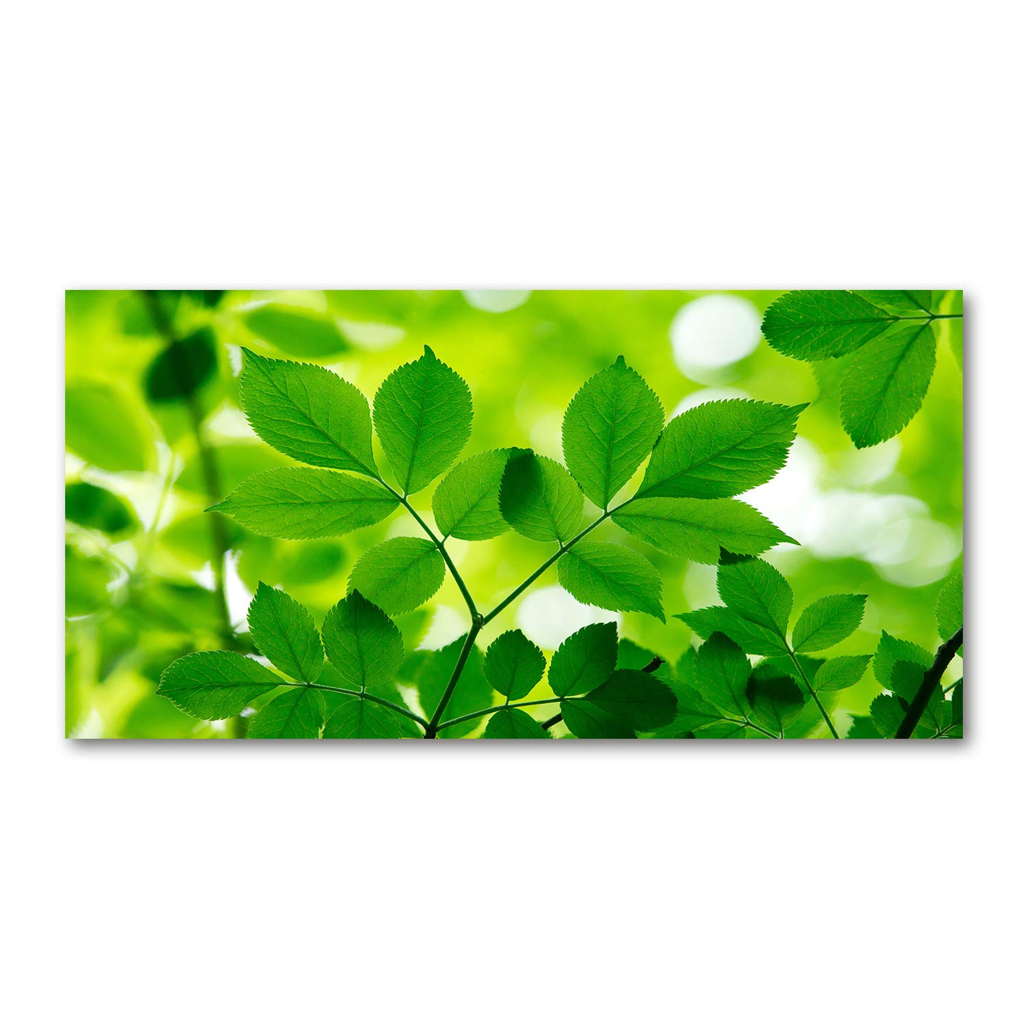 Image verre plastique haut de gamme 140x70cm effet brillant