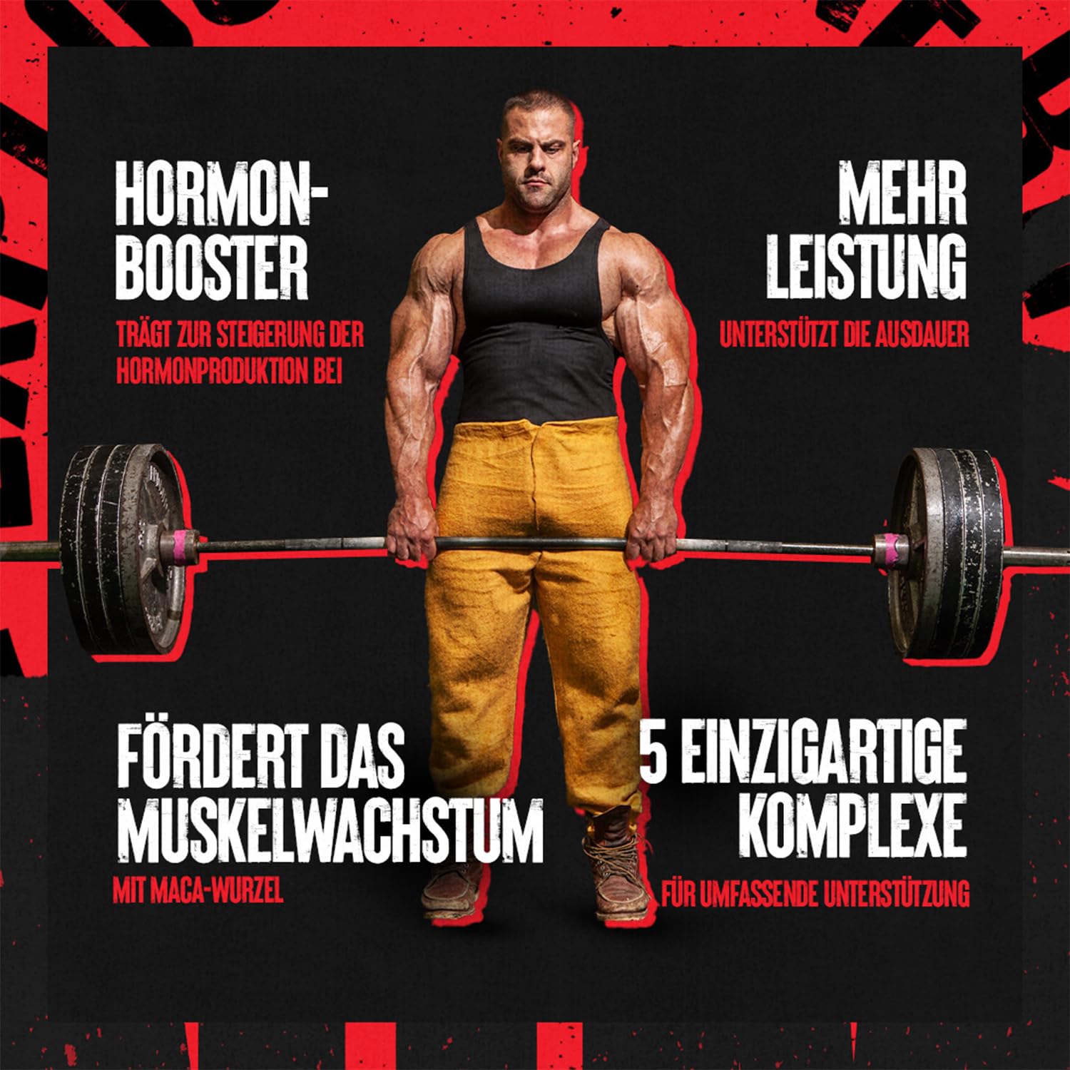 ANIMAL Stak – Supplement für Muskelaufbau, Kraft & Performance – Kapseln mit Aminosäuren, Vitaminen & Mineralstoffen – Sportnahrung für Fitness & Bodybuilding, 21 Packs
