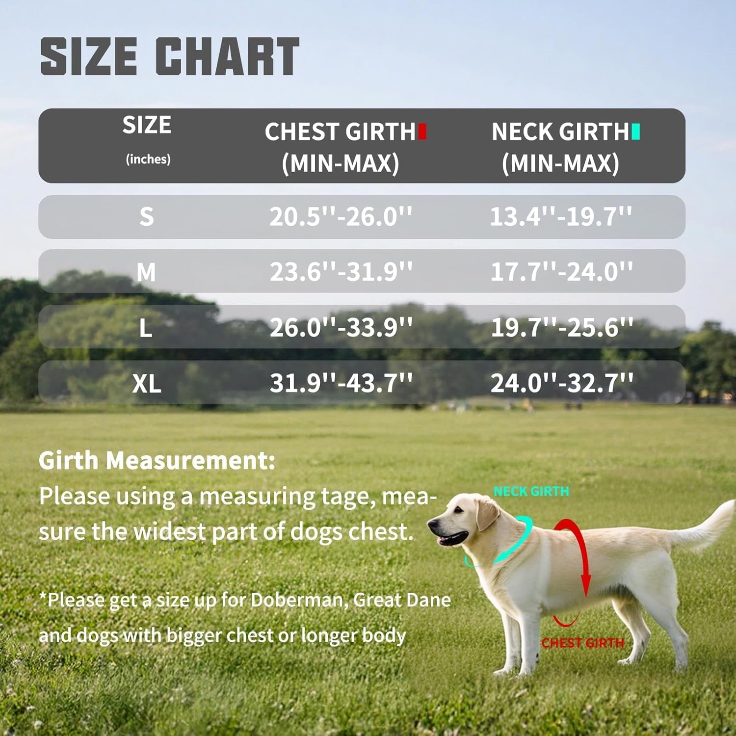 AUROTH Dog Harness and Leash Set, Soft Padded Service Dog Vest with 5.25FT Dog Leash, No Choke, Easy On Pet Vest, Adjustable Reflective No Pull Dog Harness for Large Dogs, Easy Walking and Training