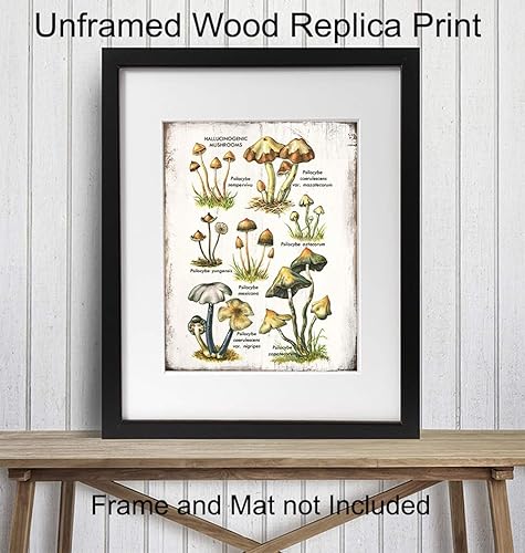 Miniatura 2 de Arte psicodélico alucinógeno medicinal de hongos mágicos botánicos – Esporas de Psilocibina Trippy Decoración de pared – Decoración psicodélica de
