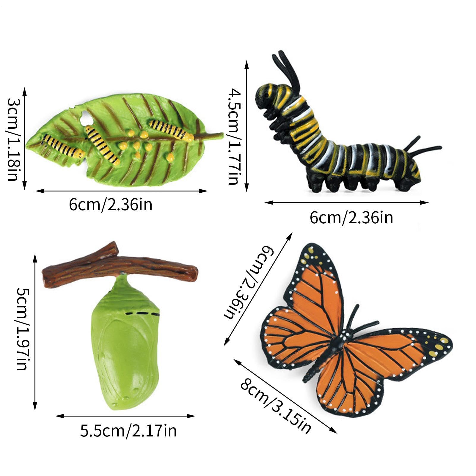 Insectss Life Cycle Figurines - Educational Biological Growth Stages, Realistic Hand-Painted Learning Models, Durable Odourlesss PP Plasticss Build, 4 to 5 Piece Development Sets - for Kids 3 Years — view 2