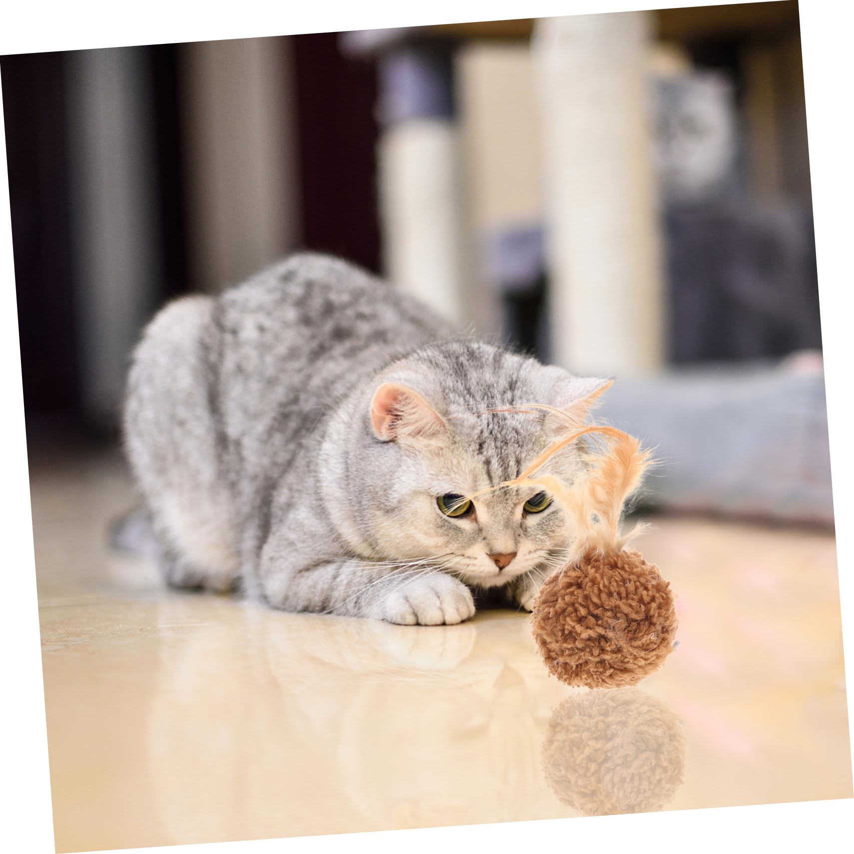 Happyyami 45stücke Teiliges Katzen-spielzeugset Mit Plüschbällen Und Federn Interaktive Und Tragbare Spielzeuge Für Katzen Zur Stressreduktion Bindung Zwischen Tier Und Halter