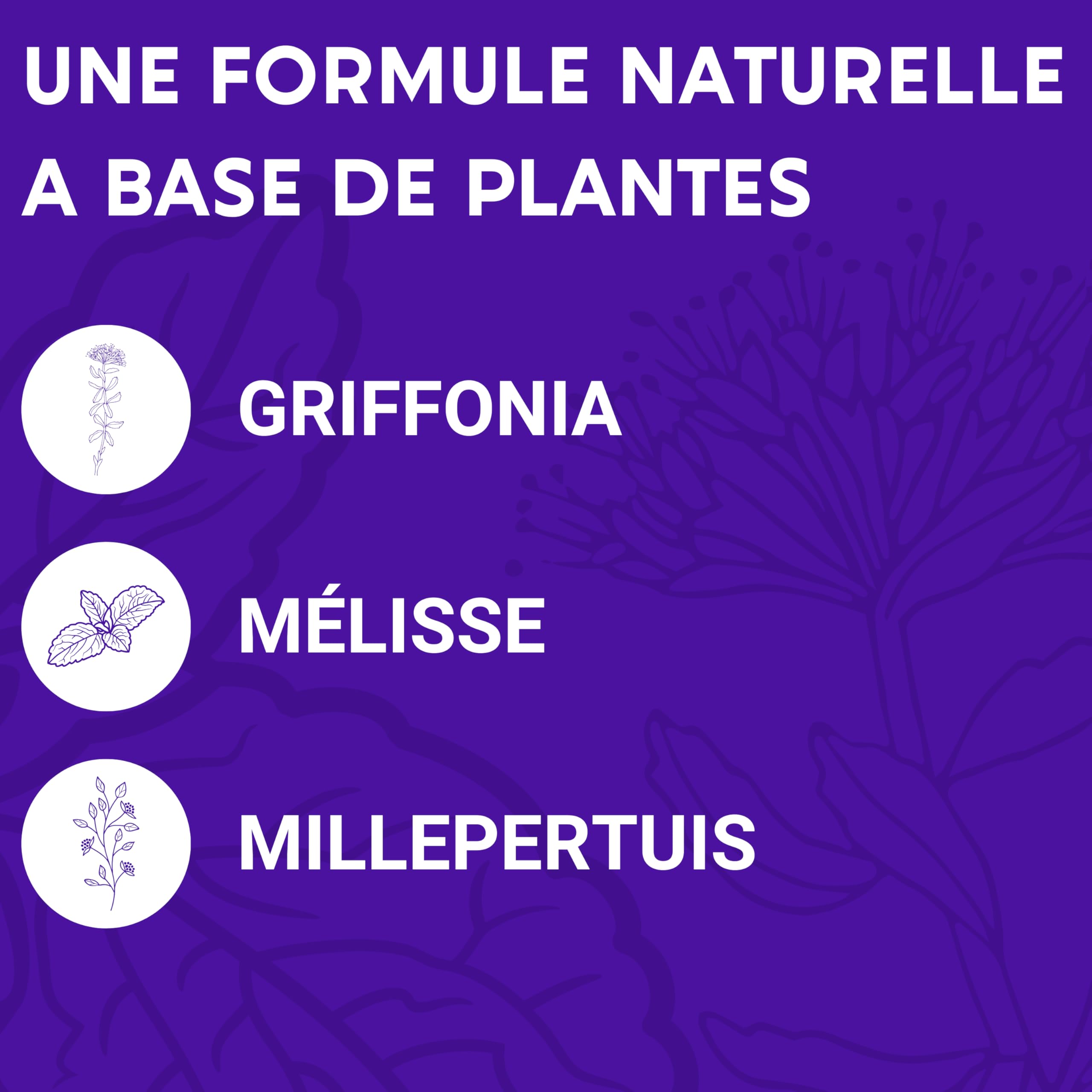 FORMULE ZEN | GABA, Griffonia, Millepertuis, Mélisse, Rhodiola, Vitamine B6 | Anti Stress Naturel | 30 jours de Relaxation | Complement alimentaire | Fabriqué en France