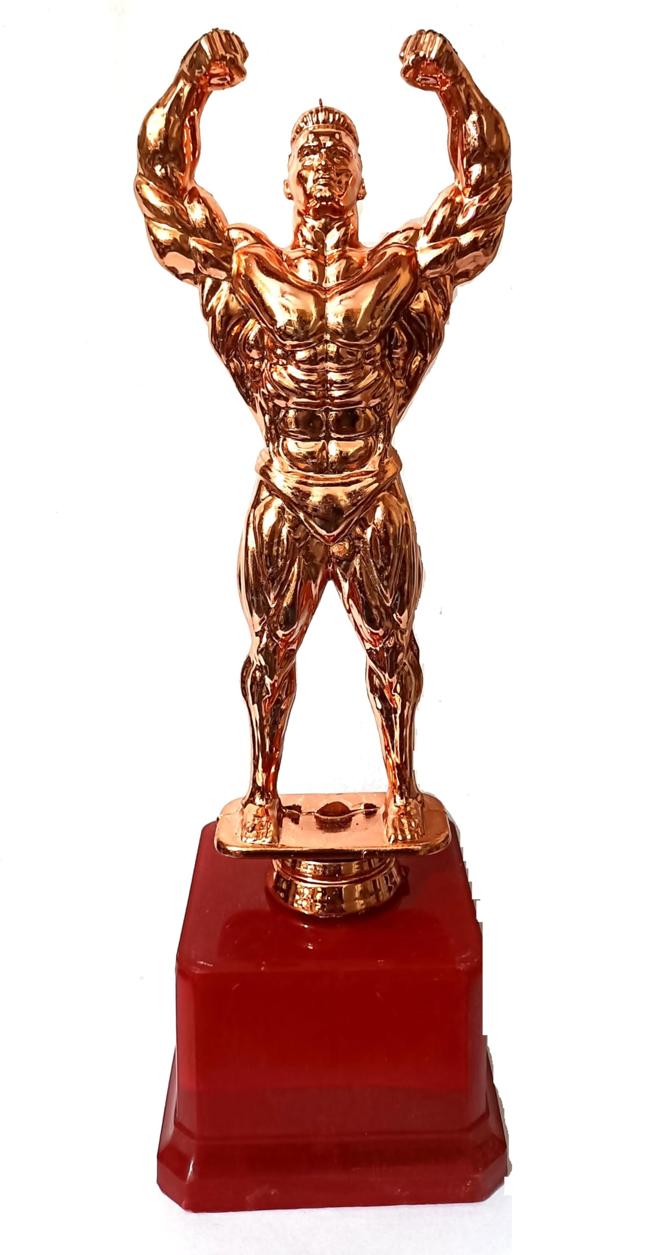 TMW BEST BODY BUILDER AWARD AND TROPHY IN BODY PAINT COLOUR (B0CNM3LHB1) Amazon Price History, Amazon Price Tracker