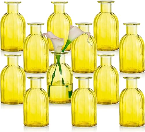 Glasseam Jarrones de cristal acanalado para centros de mesa, bonito juego de 12 jarrones amarillos, modernos jarrones pequeños para flores, floreros disponible en Yaxa Venezuela