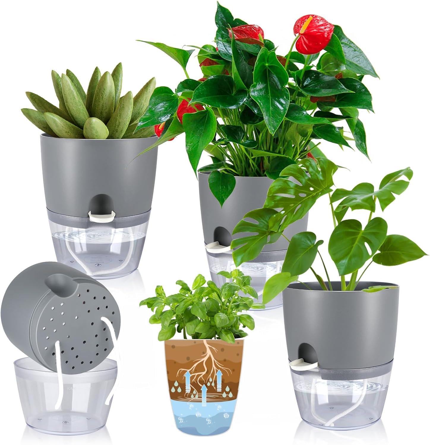 See full amazon price history chart for JERN Self Watering Planters for Indoor & Outdoor Use, Self Watering System, Grey, Set of 3 (Small Size 3.4" Dia) JERN Self Watering Planters for Indoor & Outdoor Use, Self Watering System, Grey, Set of 3 (Small Size 3.4" Dia) (B0D41XK7SB) Amazon Price History, Amazon Price Tracker