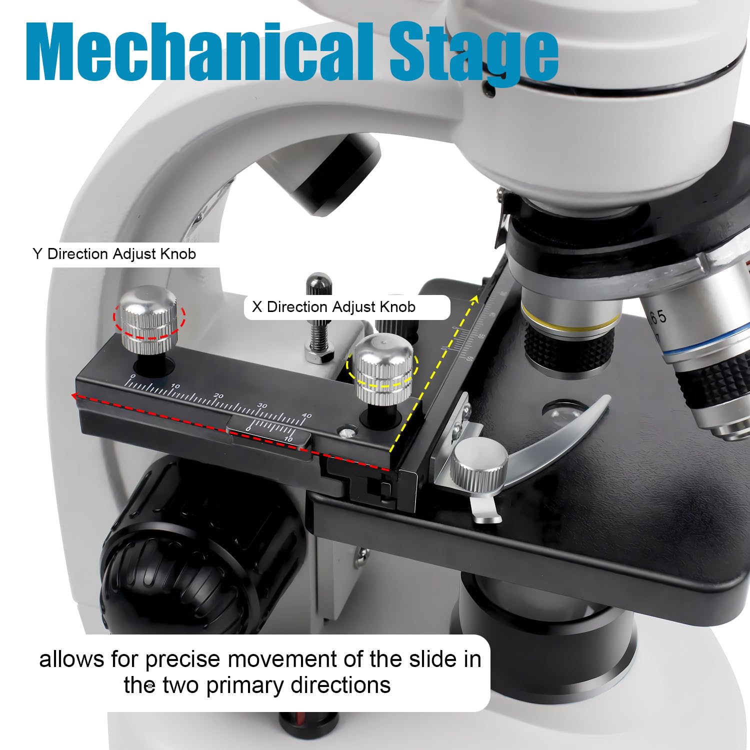 Microscopio binoculare composto 40X-2000X, WF10X WF25X con Lame di Microscopio (30 pezzi), Platino meccanico, per la scuola, il laboratorio, l'educazione domestica per gli studenti adulti