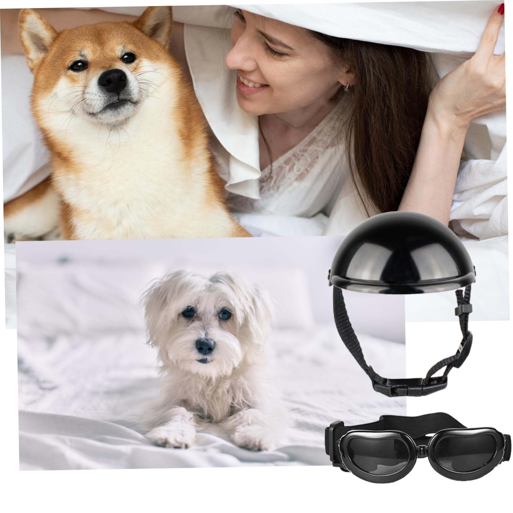 Casque pour Chien, Casque et Lunettes pour Chien 2 pièces/Ensemble dôme de mentonnière réglable avec Trou d'oreille Coupe-Vent Lunettes décoratives élégantes Fournitures pour Animaux de Compagnie
