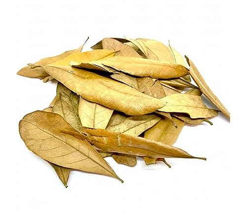 Miniatura 7 de Graviola de hojas de guanábana - Hojas de té de hierbas secas premium  Annona Muricata  Infusión de bienestar natural