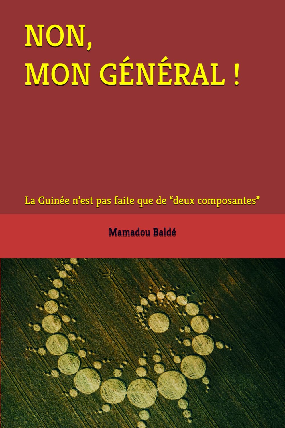 Non mon général: La Guinee n’est pas faite que de “deux composantes”