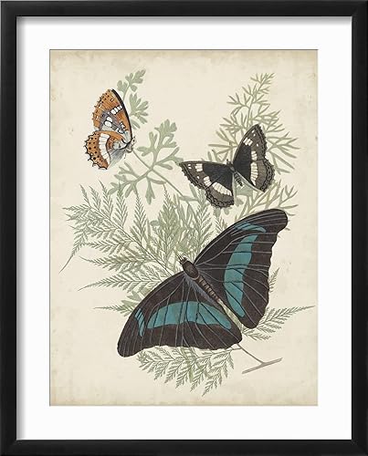 Miniatura 2 de ART.COM Vision Studio - Póster enmarcado para pared, diseño de mariposas y helechos, decoración de animales, 12 x 16 pulgadas, marco negro con