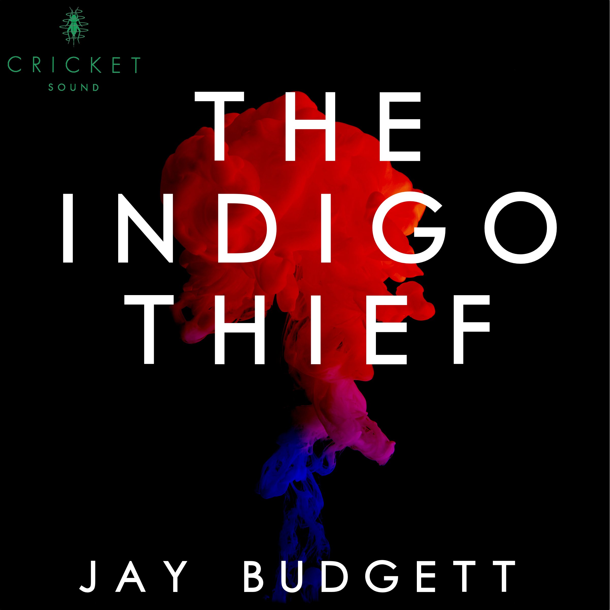 The Indigo Thief