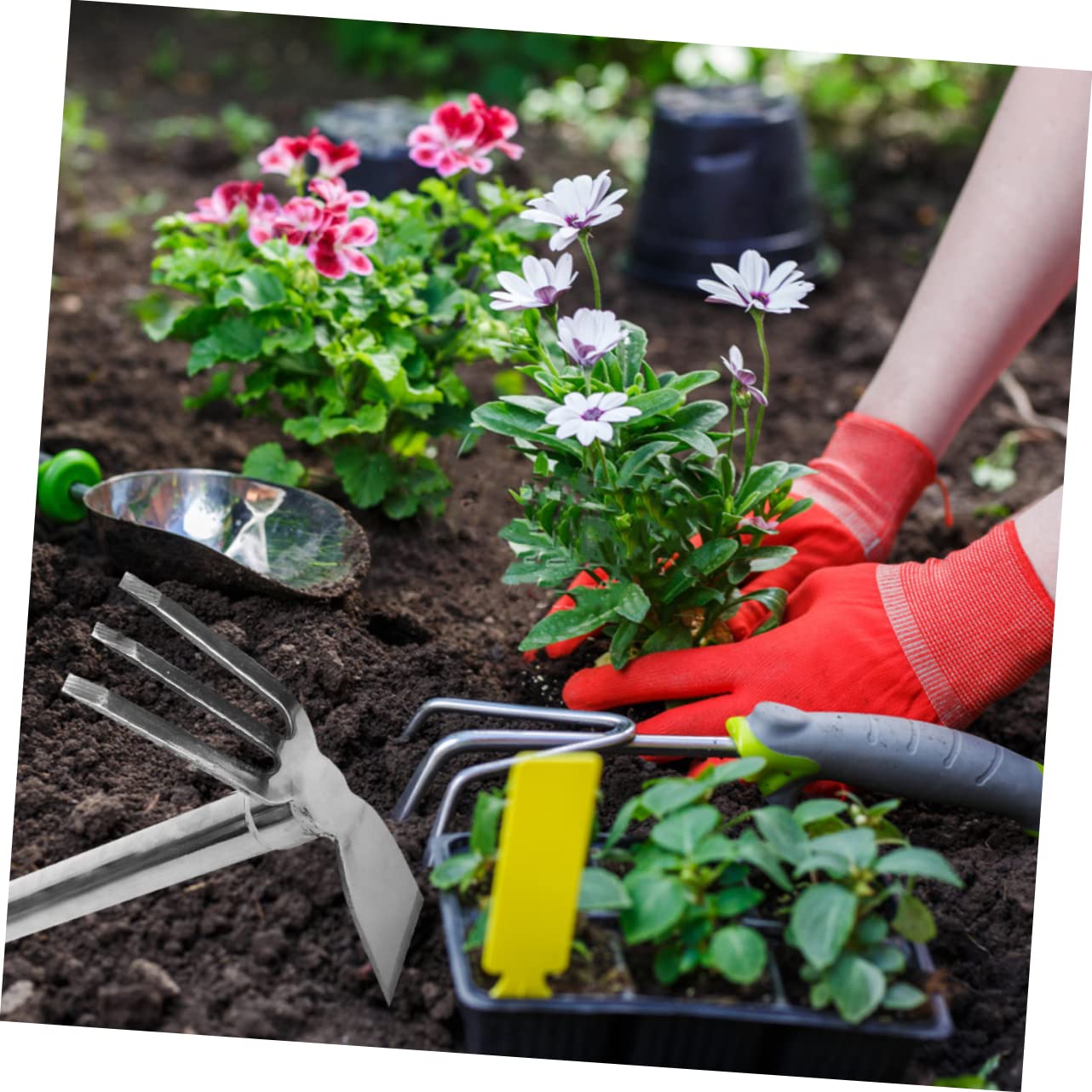 Piccola Zolla in Acciaio Inossidabile per Giardinaggio, Attrezzo Manuale per Semina, Coltivazione e Sistemazione del Terreno in Giardino, Terrazzo o Orto