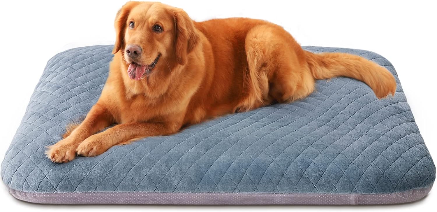 19 Best Dog Beds For Golden Retrievers (Top Picks Ahead) Hero Dog Large Dog Bed