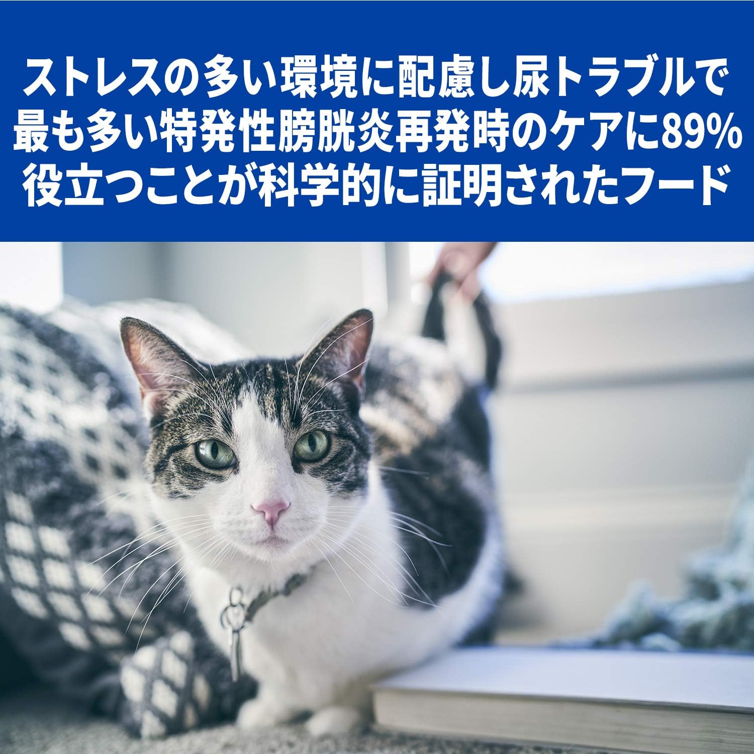 Amazon  【療法食】 プリスクリプション・ダイエット キャットフード 