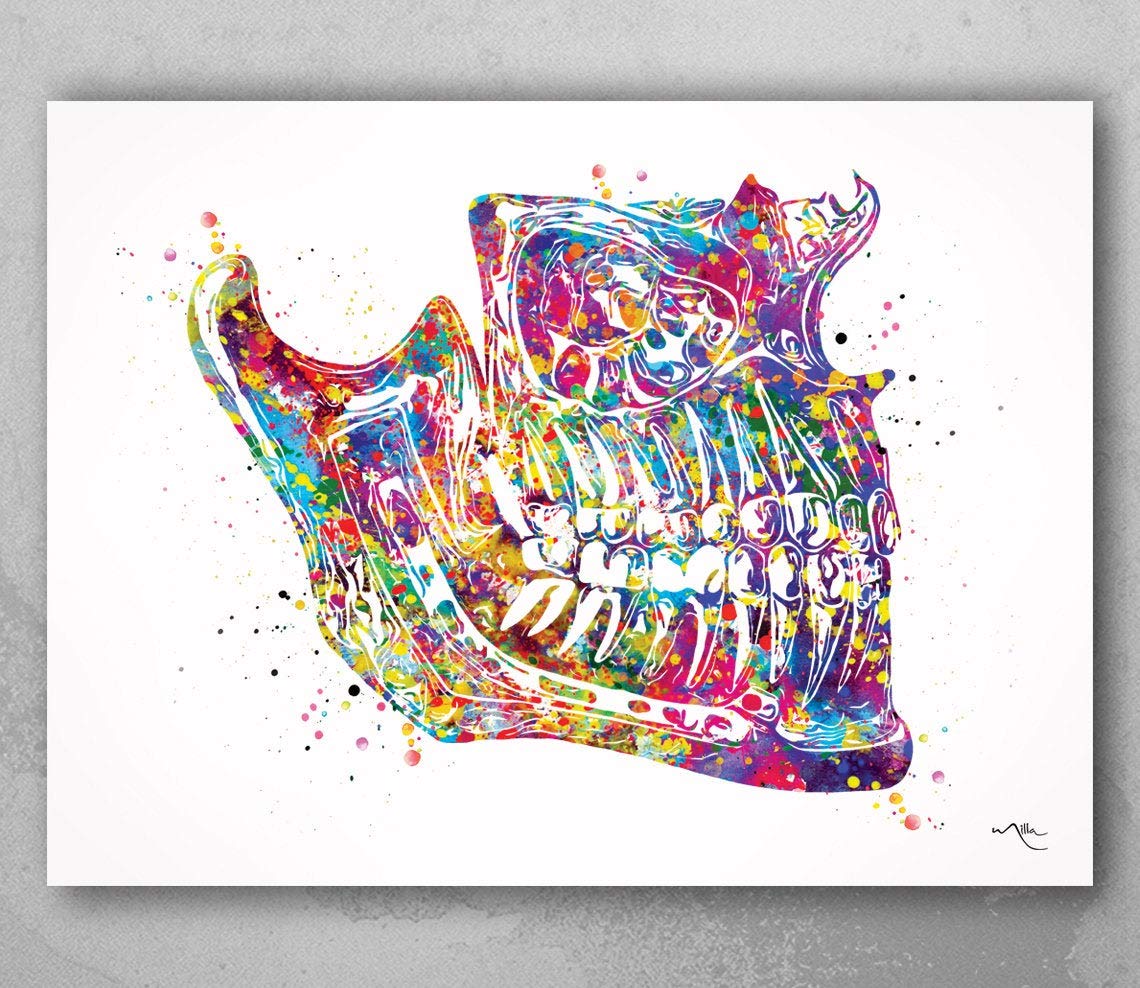 Cocomilla Human Jaw Anatomy Watercolor Print Orthognathic Surgery Mandible And Maxilla Medical Art Dental Art Clinic Dentistry Office Dentist Decor-97