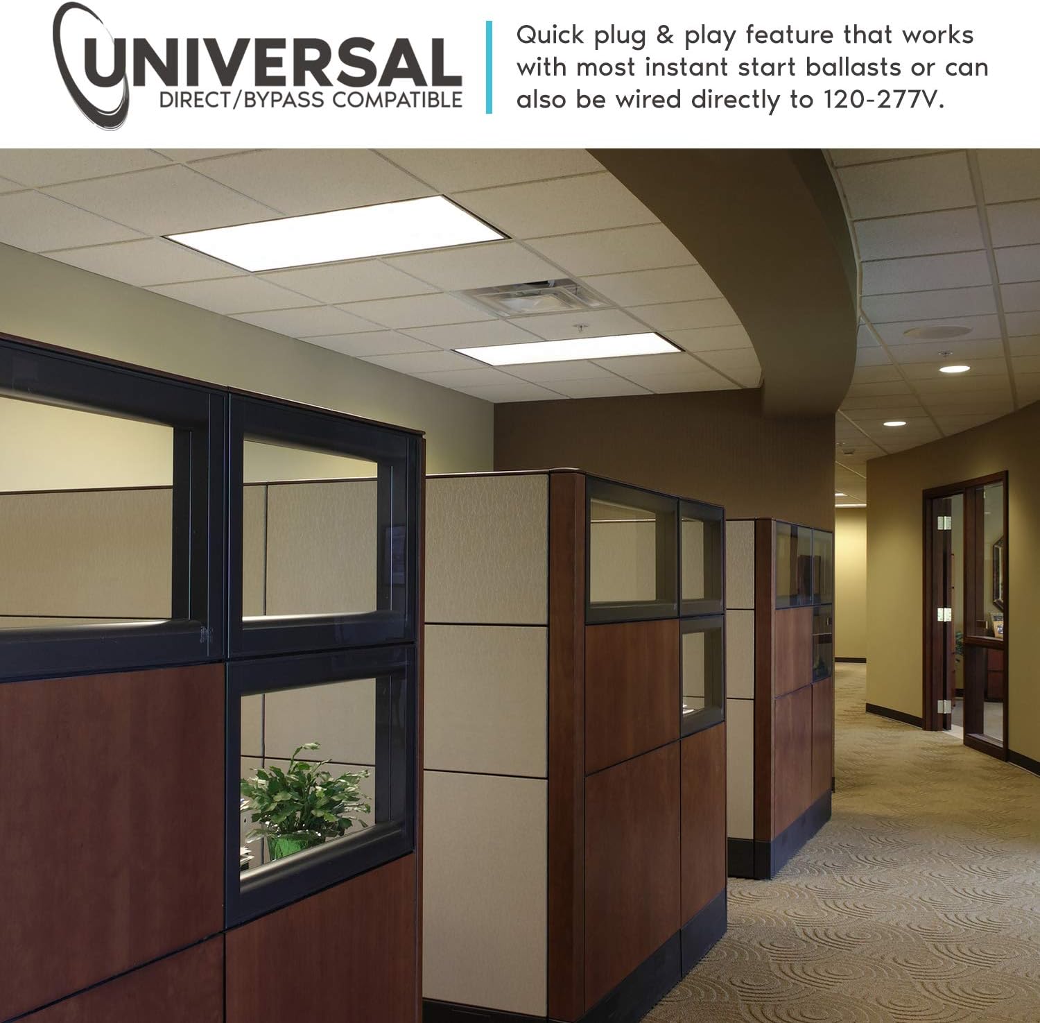 Frее Shірріng оƒƒеr Luxrite 4FT LED Tube Light, T8, 18W (32W Equivalent), 3000K Soft White, 2000 Lumens, Fluorescent Light Tube Replacement, Direct or Ballast Bypass, DLC and ETL Listed (12 Pack) Gеt Sресіаl Prісе Luxrite 4FT LED Tube Light, T8, 18W (32W Equivalent), 3000K Soft White, 2000 Lumens, Fluorescent Light Tube Replacement, Direct or Ballast Bypass, DLC and ETL Listed (12 Pack)