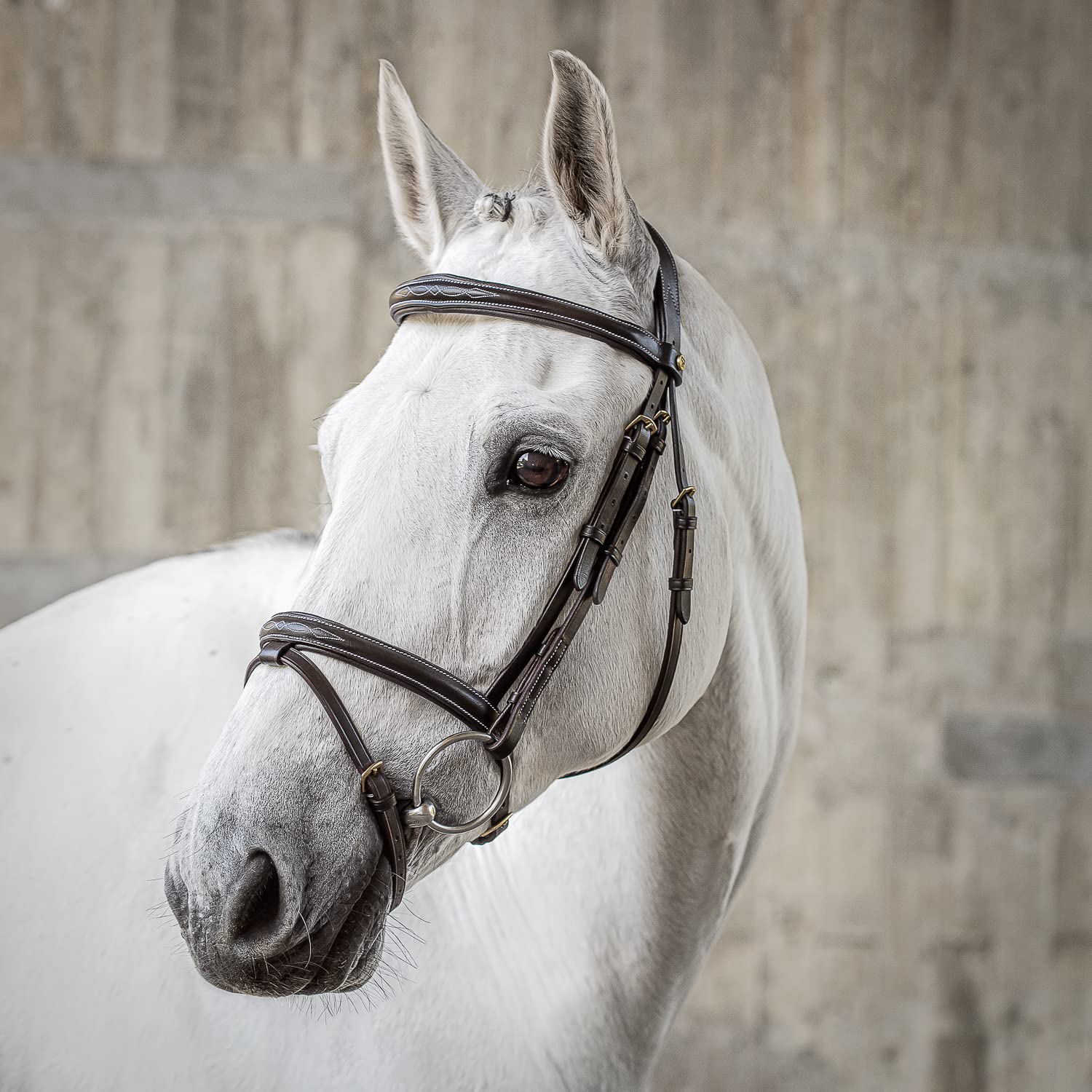 SUNRIDE Brida Inglesa combinada Caballo (London) – con riendas – Cuero Genuino Suave – Acolchado Extra – anatómica Ajustable – Artesanal – Costuras Decorativas – Acero Inoxidable (COB, marrón)