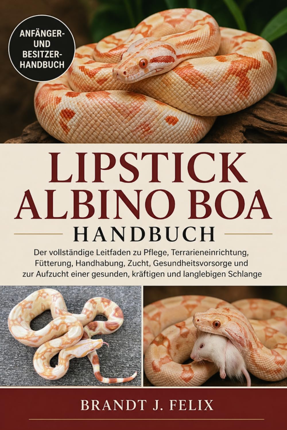 LIPSTICK ALBINO BOA HANDBUCH: Der vollständige Leitfaden zu Pflege, Terrarieneinrichtung, Fütterung, Handhabung, Zucht, Gesundheitsvorsorge und zur ... gesunden, kräftigen und langlebigen Schlange