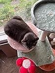 Review Image by moggy