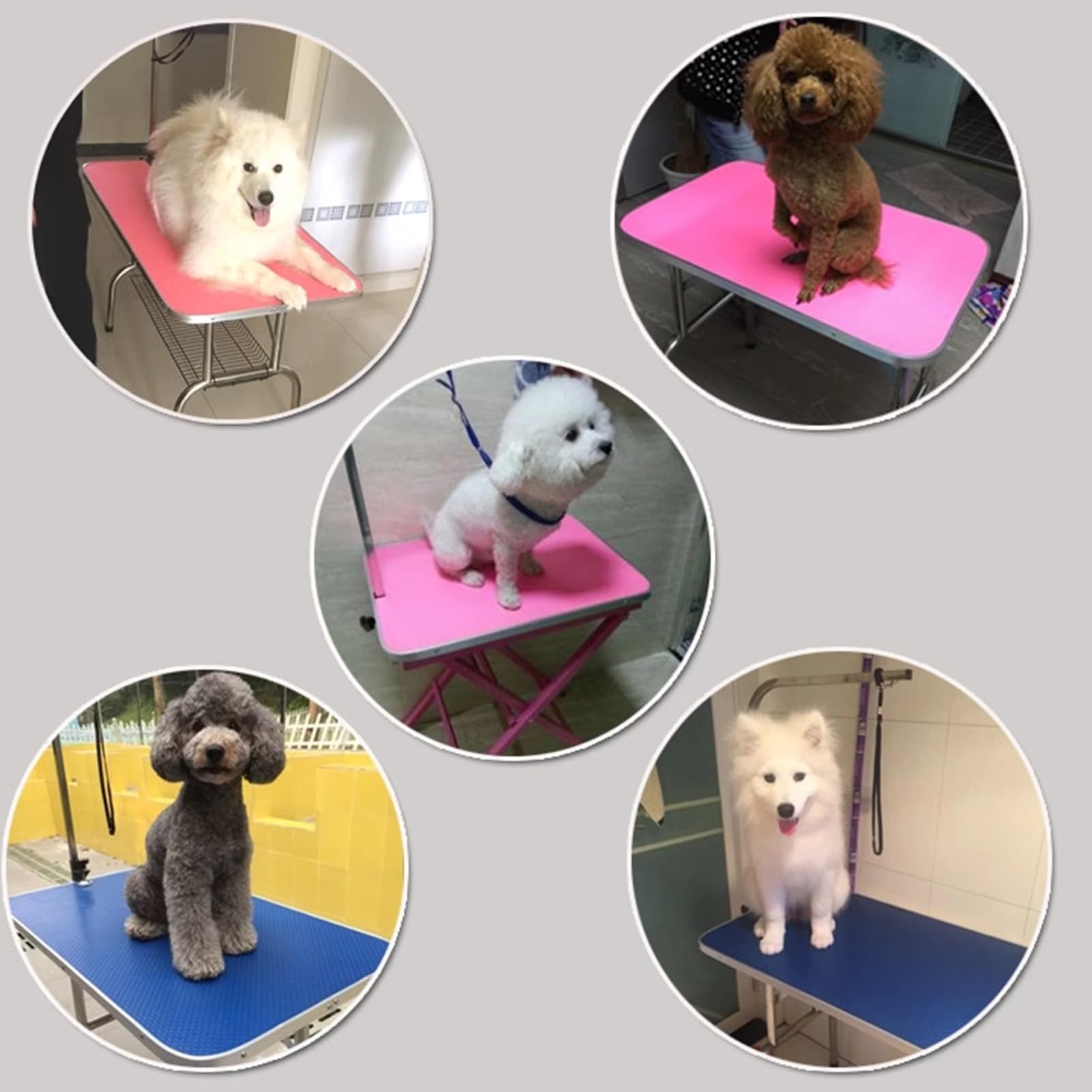 Tavolo pieghevole per toelettatura cani con superficie antiscivolo e braccio regolabile – Attrezzatura professionale per la cura degli animali domestici per una facile toelettatura e bagno