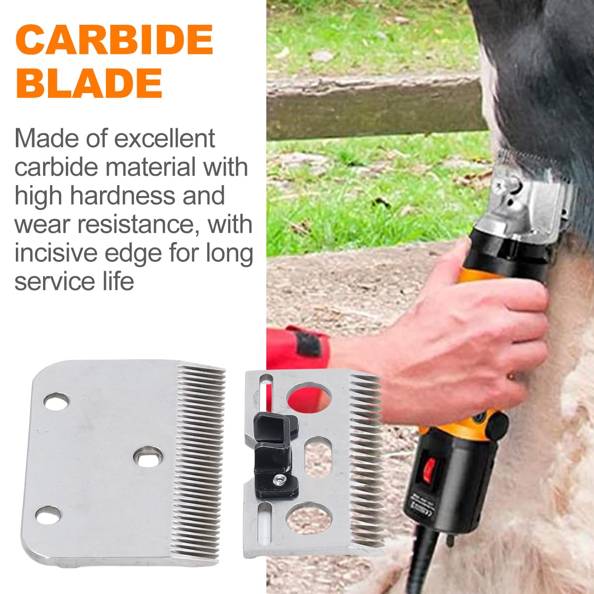 Lames de rechange carbure 35 dents pour ciseaux à chevaux tondeuse professionnelle