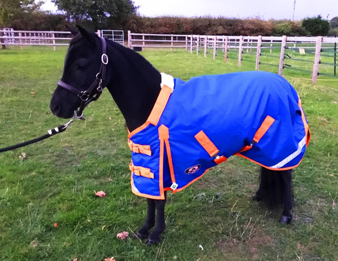 Ruggles 200g Middleweight Turnout Rug for Shetland Section A Pony Donkey Miniature Horse | Breathable 1200D Teflon Coated Outer | Perfect for Spring, Autumn and Winter (Light Delft Blue, 3' 3")