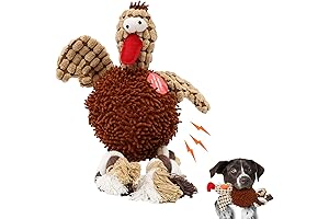 Ethical Pets Gigglers Real Chicken Flavor 12-Inch Dog Toy